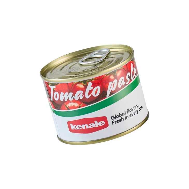 Canned Tomato Paste Brix 28-30 price