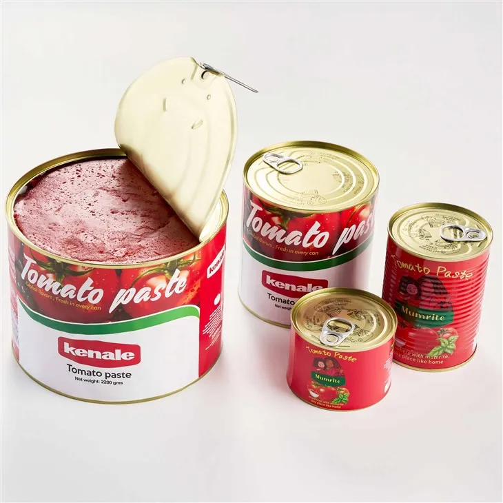 Canned Tomato Paste Brix 28-30 price