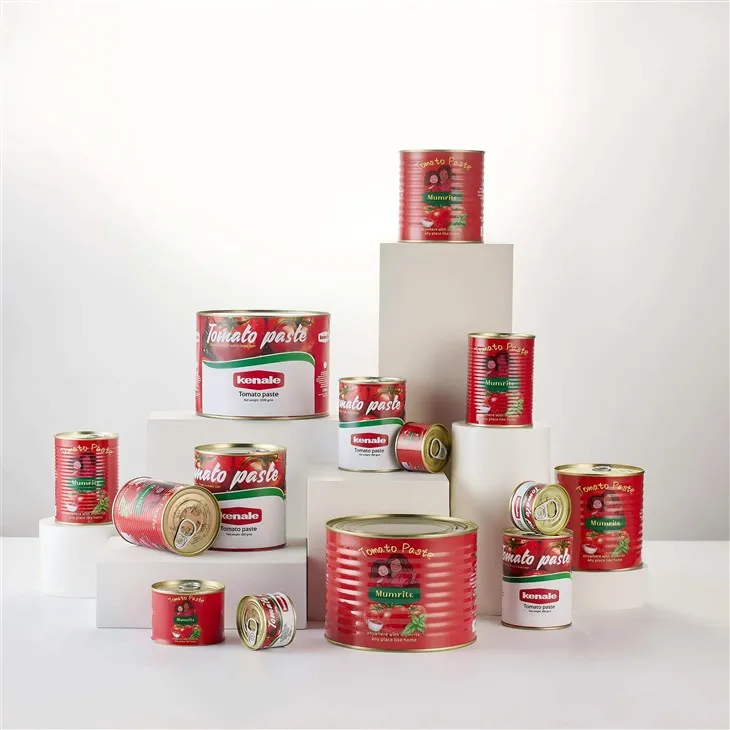 Concentrate Tomato Paste price