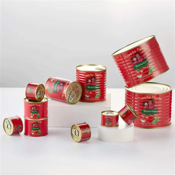Double Concentrate Canned Tomato Paste factory
