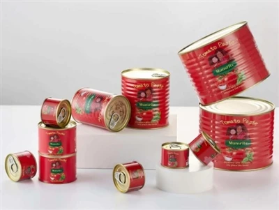 The Unsung Hero of Your Kitchen: How Choosing the Right Tomato Paste Transfor...