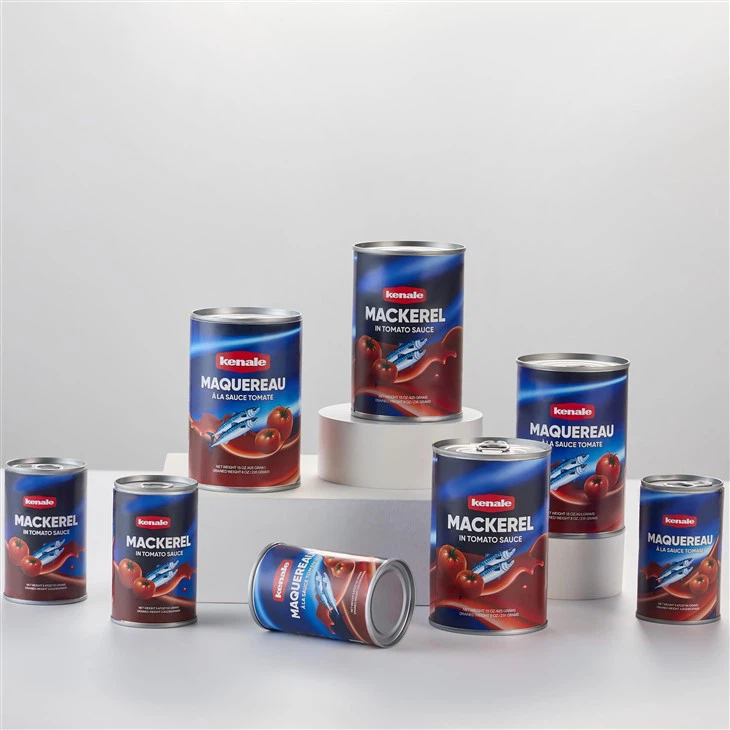 Canned Mackerel in Oil